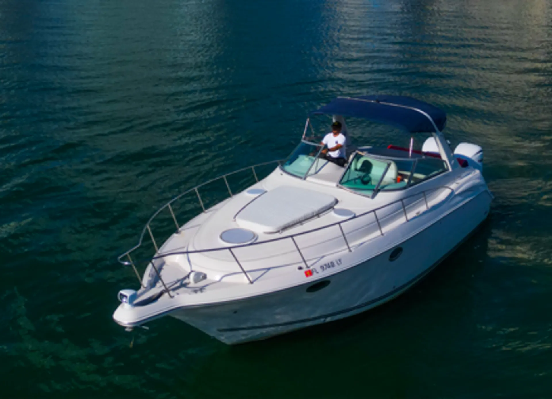 Harbor White